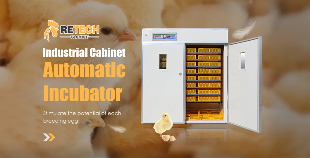 Poultry farm raising chickens automatic egg incubator for 5000 eggs