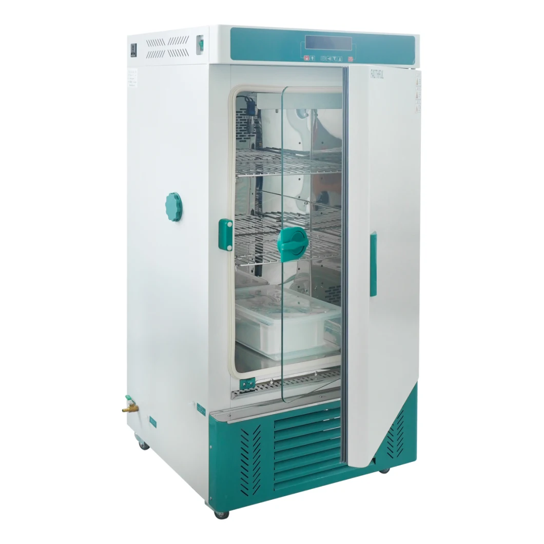 250L Mould Cultivation Cabinet (MJX) , Lab Incubator;