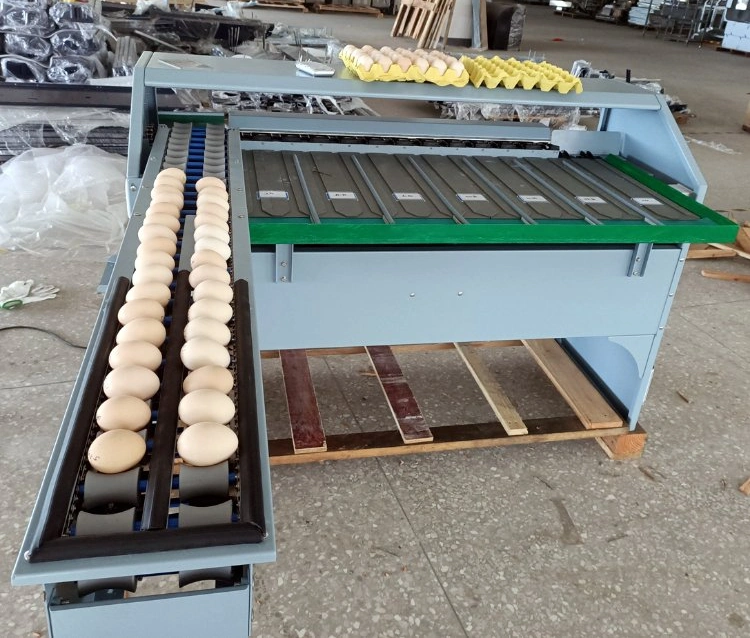 7 Grades Egg Grader Candler Duck Chicken Egg Sorter Grading Sorting Machine