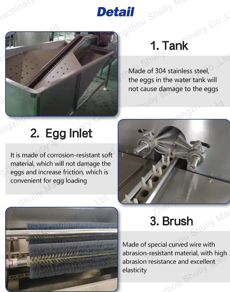 Commercial Chicken Egg Cleaning and Sorting Machine for Hot Sale