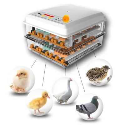 220V 계란 인큐베이터 Brooder 조류 메추라기 병아리 부화장 인큐베이터 가금류 사육자 터너 자동 농장 인큐베이터 도구 EU/US