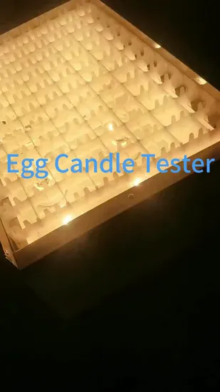 계란 상자, 특수 계란 장치, 테이블 가금류 계란 테스터, 촛대